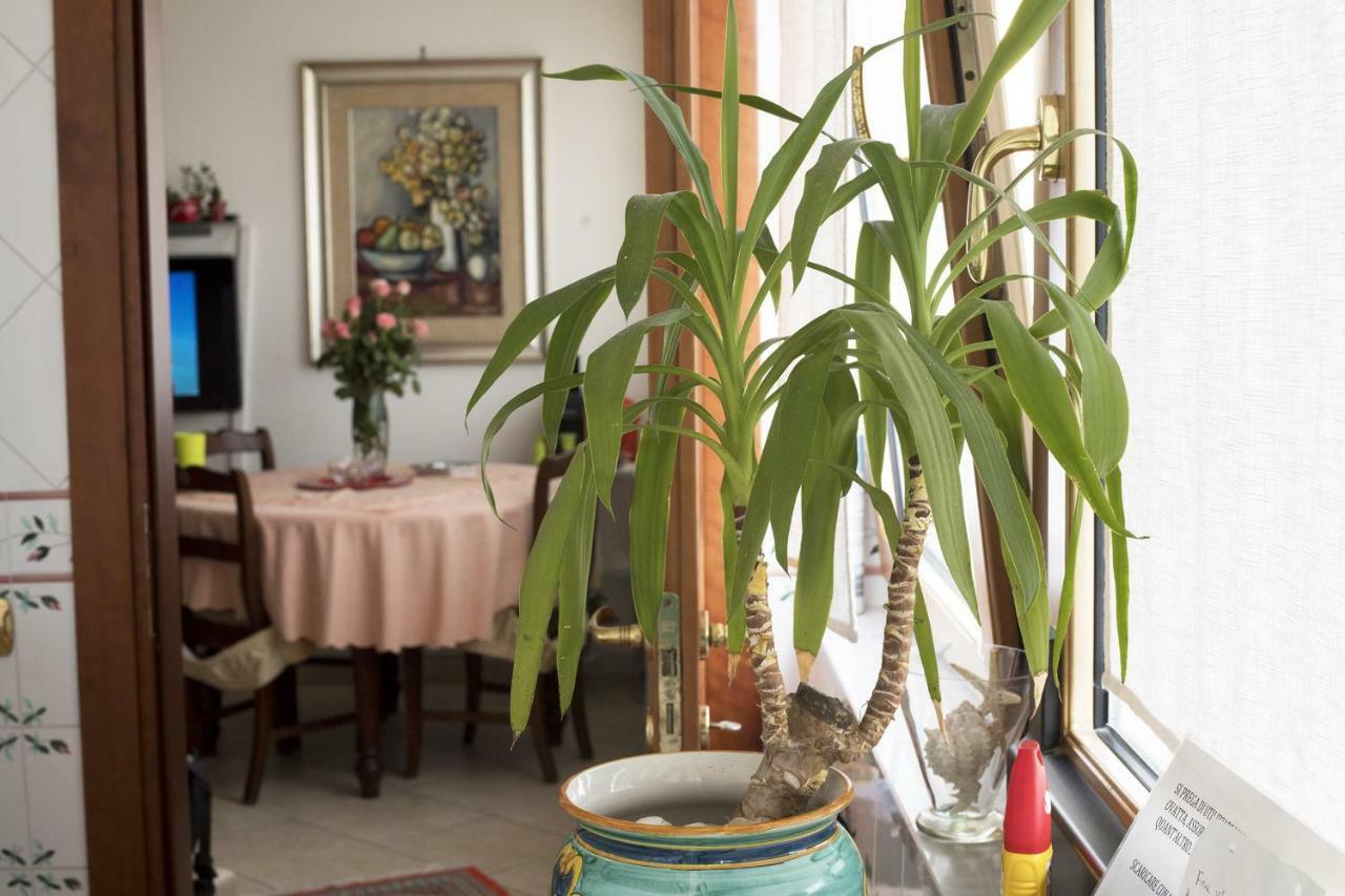 סלרנו B&B Silvana מראה חיצוני תמונה