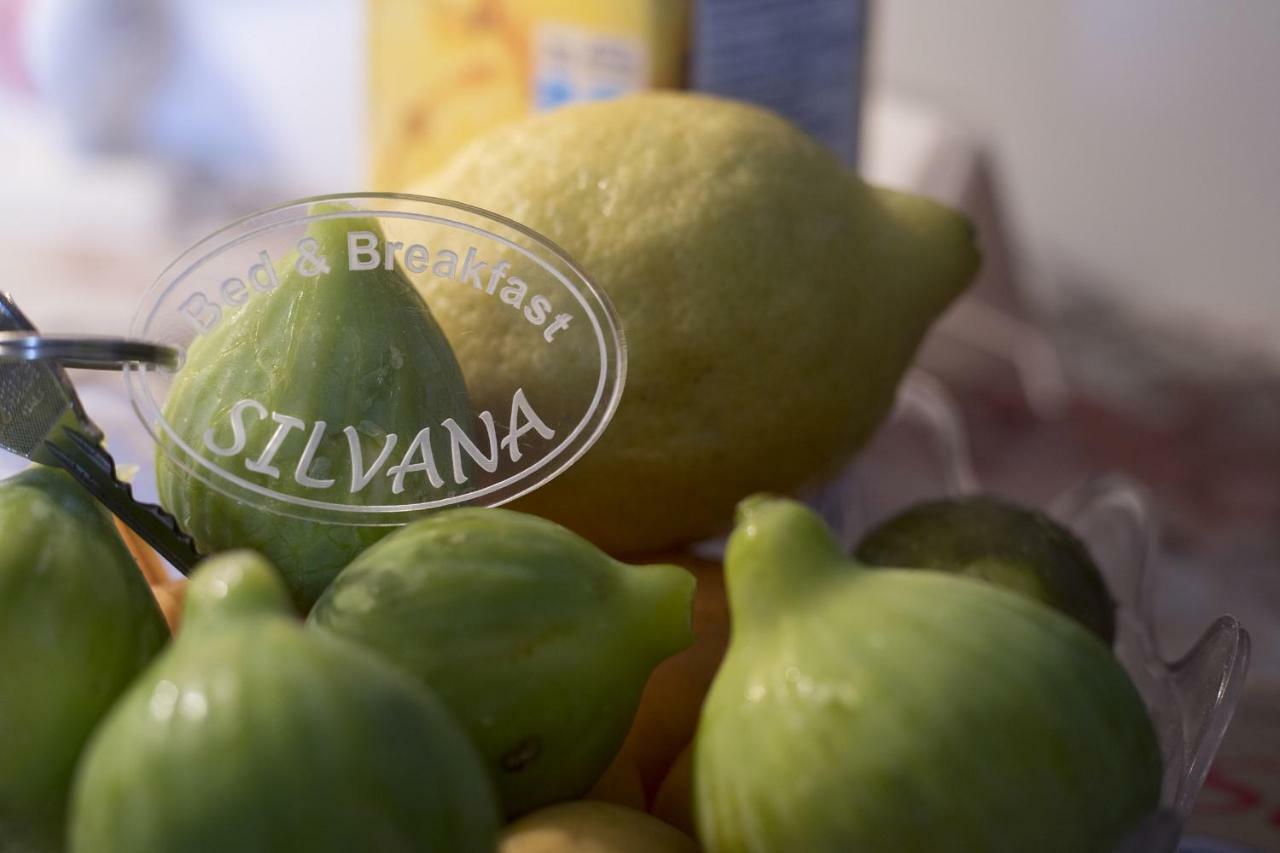 סלרנו B&B Silvana מראה חיצוני תמונה